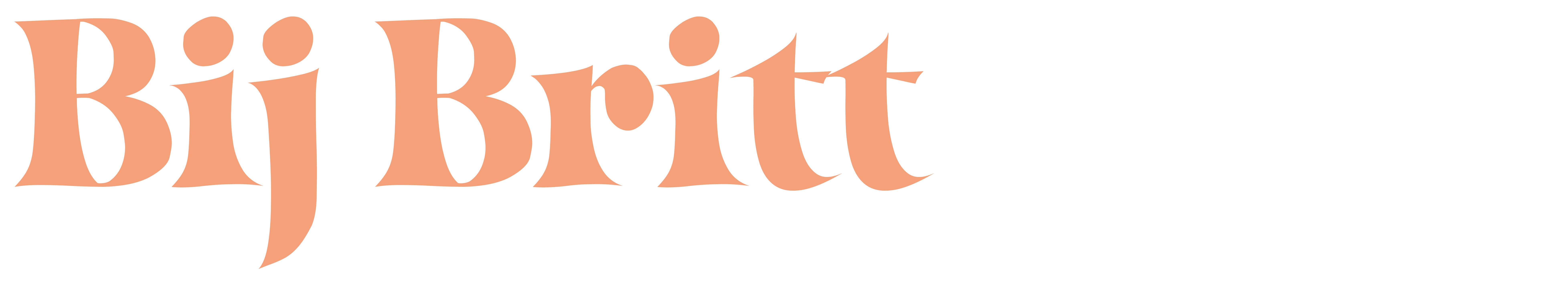 salonbijbritt.nl